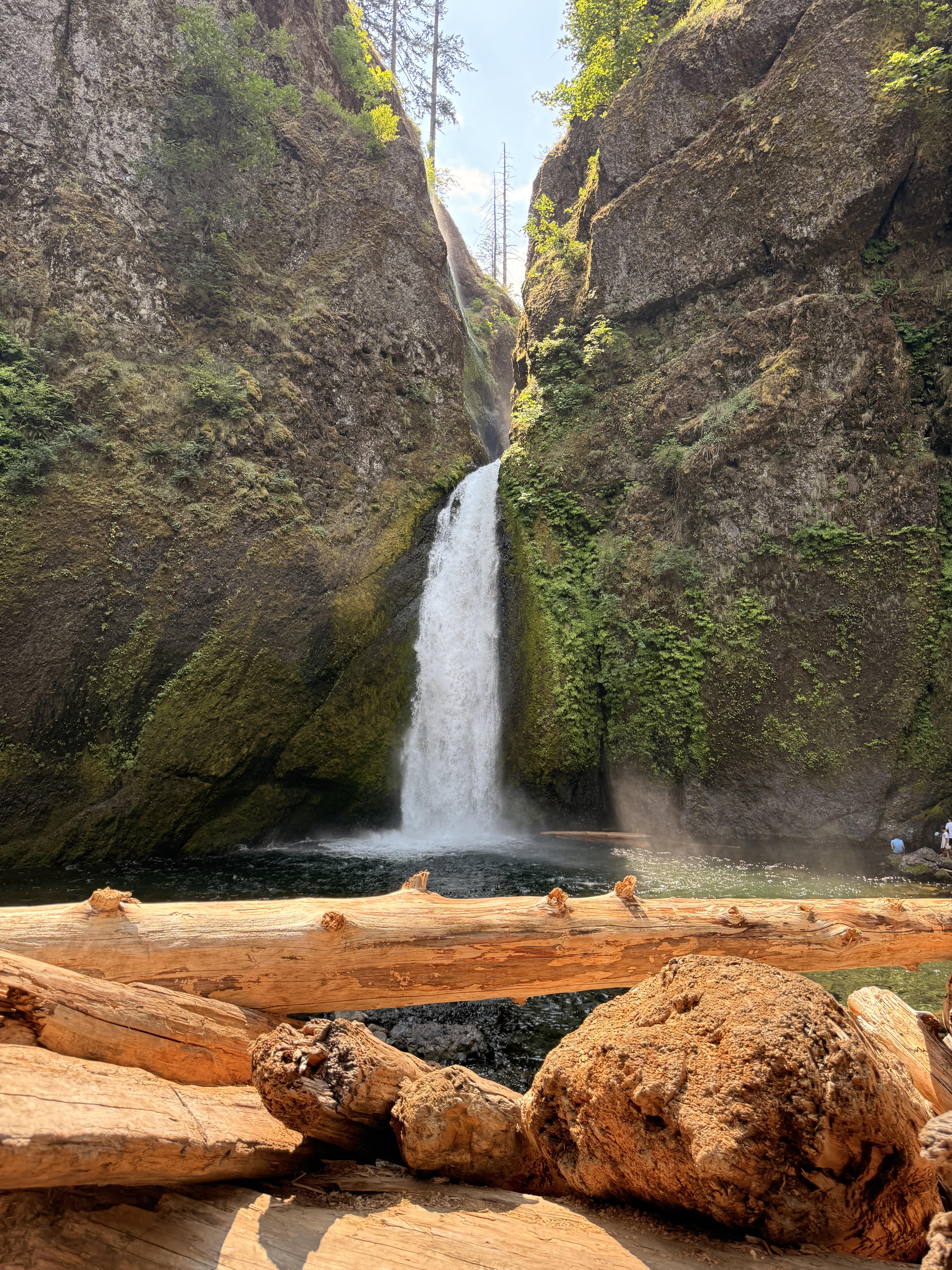 Kelly Aebi 3 Sunny landscape image of a waterfall in Oregon with rocks and logs in the foreground.