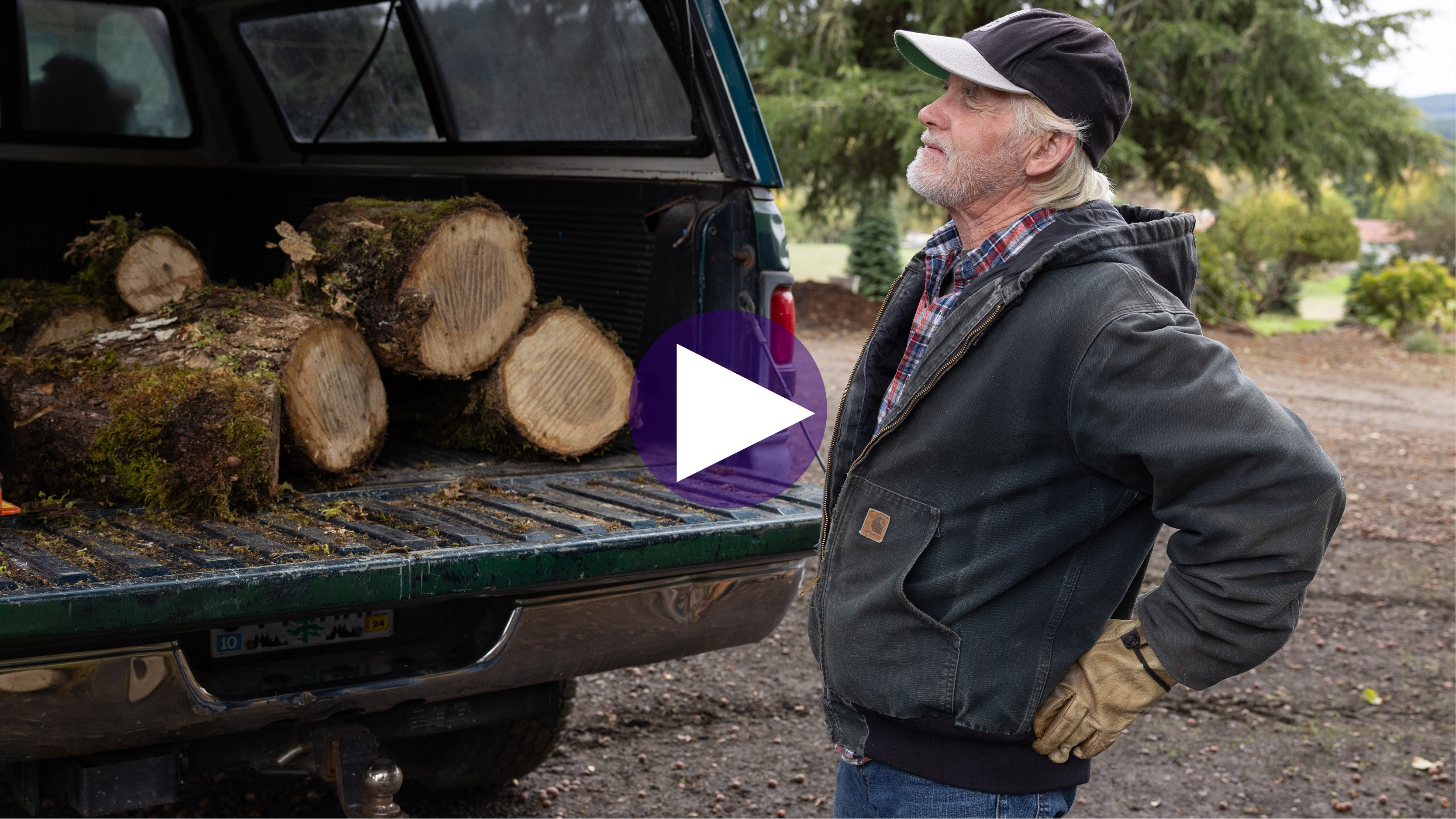 brandv3_firewood_cropped_video