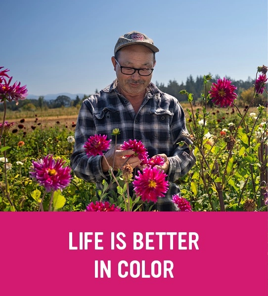 SHHC-2524 Flower farm intranet banners 260x3557