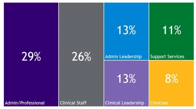 A chart showing the composition of Salem Health's IDEAL council.