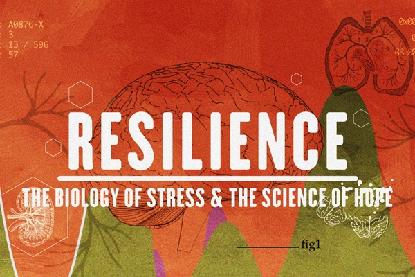 Resilience still 06web