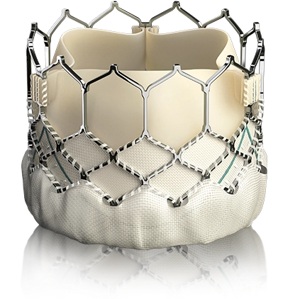 Transcatheter aortic valve