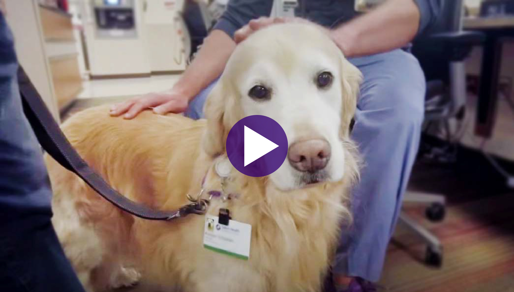 Pet therapy volunteer program