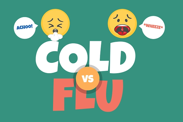 cold vs flu header